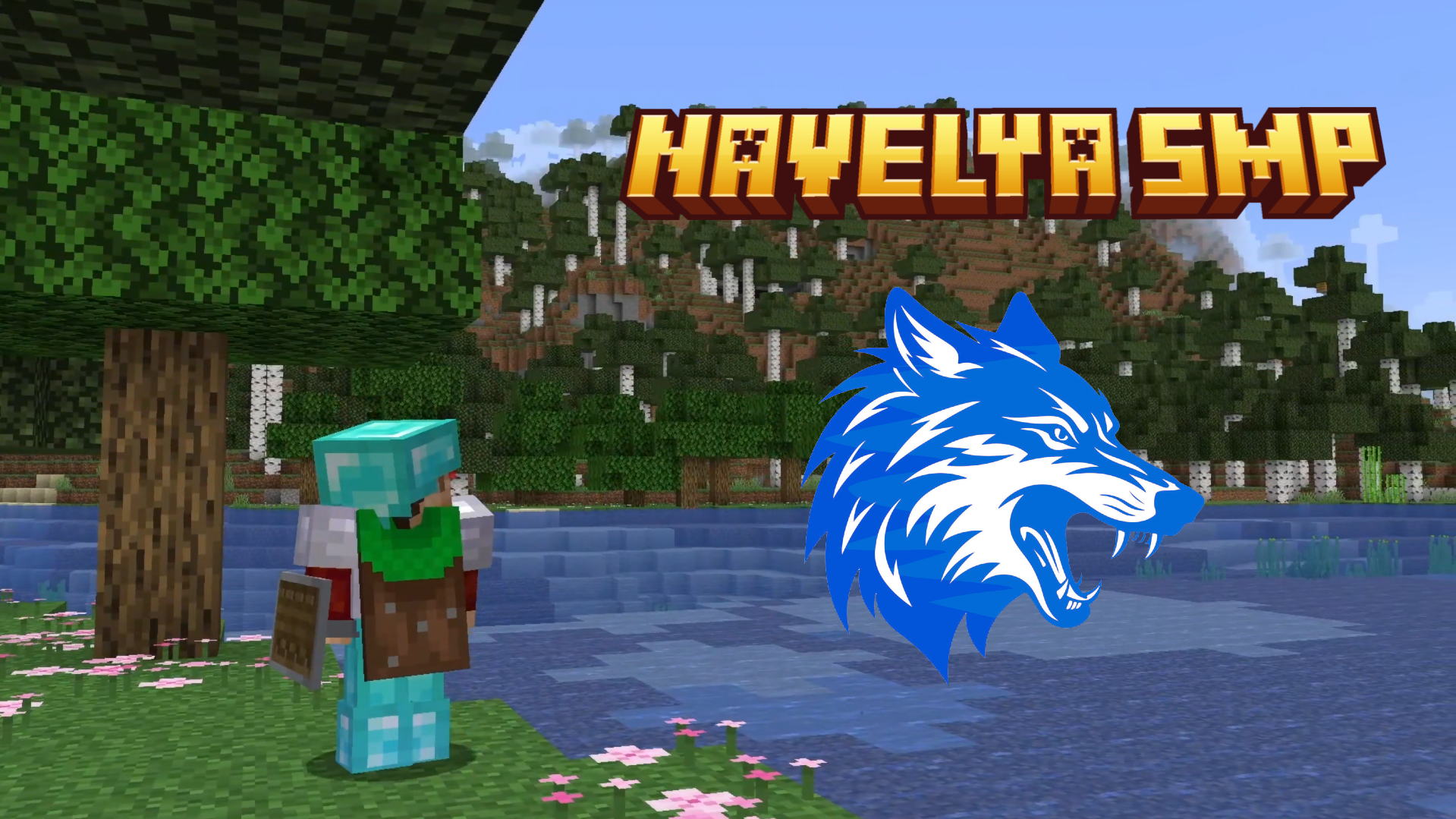 NAVELYA SMP AÇILIYOR