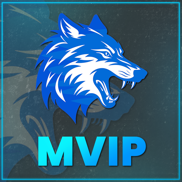 MVIP [Towny]