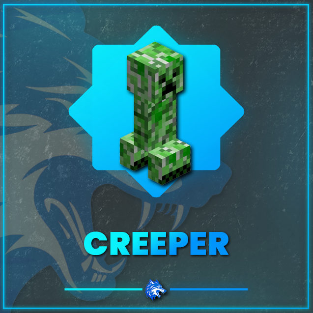 30'lu Creeper Doğurucu Paketi [SkyBlock]