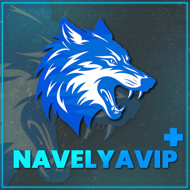 NVIP+ [Towny]