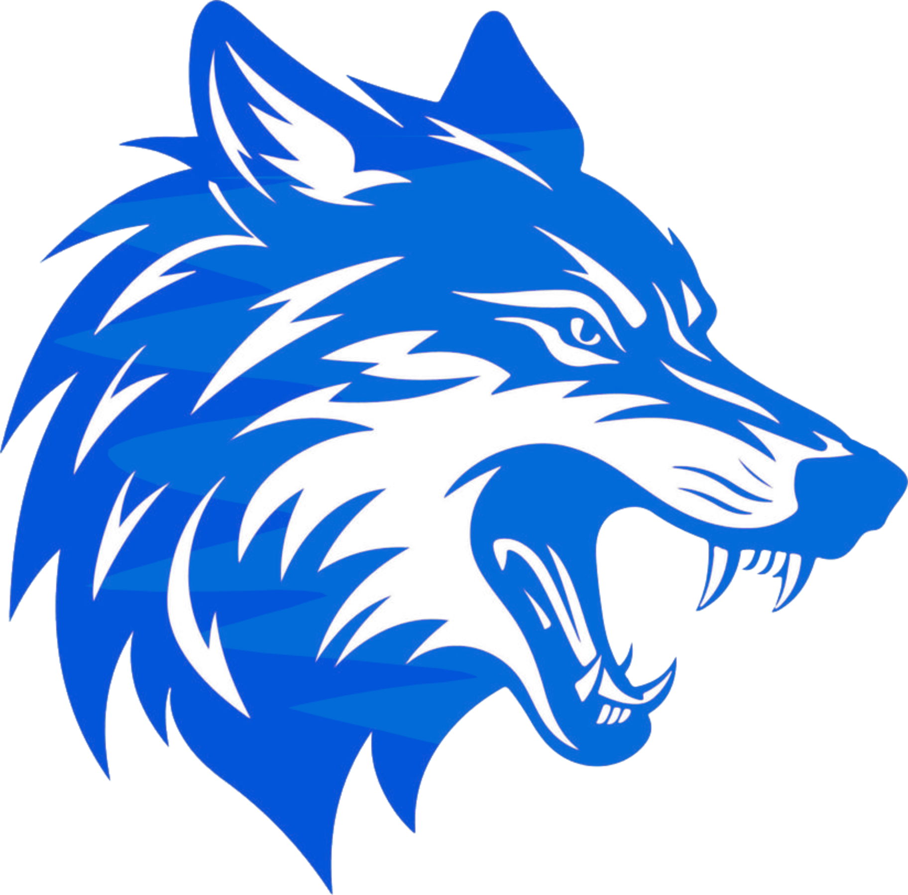 NAVELYA Logo